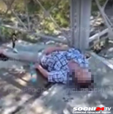 Дан официальный ответ по ситуации с умершим на дороге мужчиной в Сочи