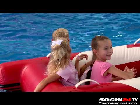 Известные артисты выступят в честь 10-летия Большого сочинского дельфинария