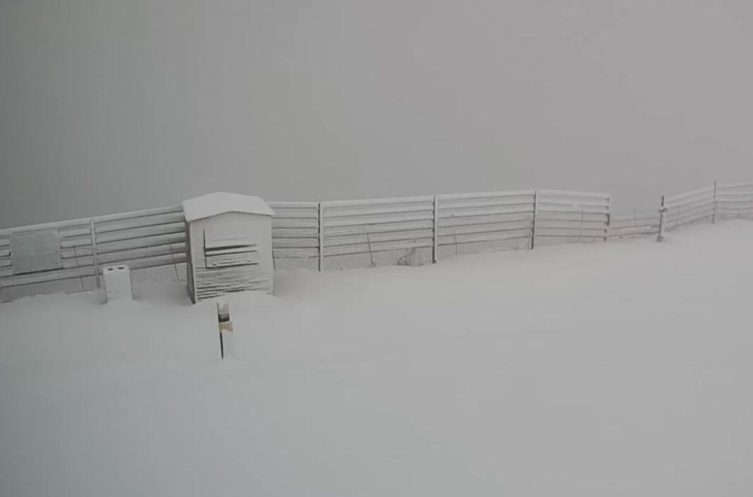 Вот и лето прошло: в Сочи все ждали бархатный сезон, а получили горнолыжный