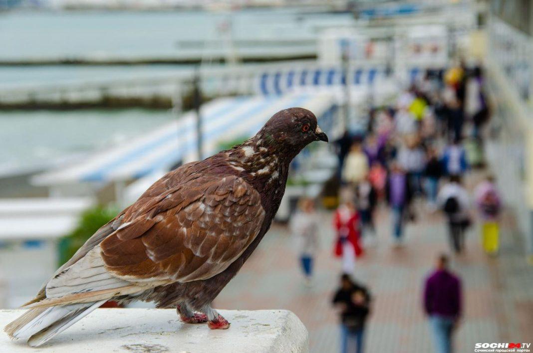 Что нас ждёт в октябре? Новое в российском законодательстве