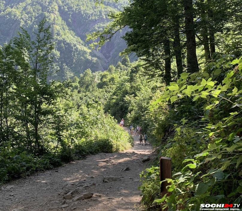 Владимир Путин назвал трудности при строительстве трассы между Архызом и Сочи