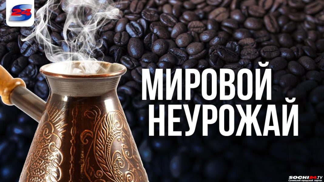 В России подорожает кофе на 30%