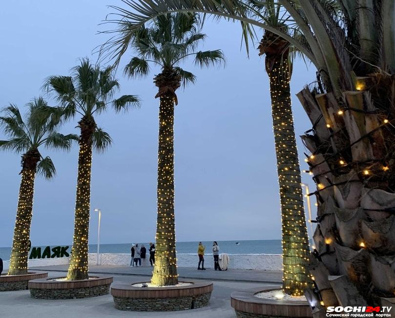 Обороты сочинского бизнеса достигли новых высот