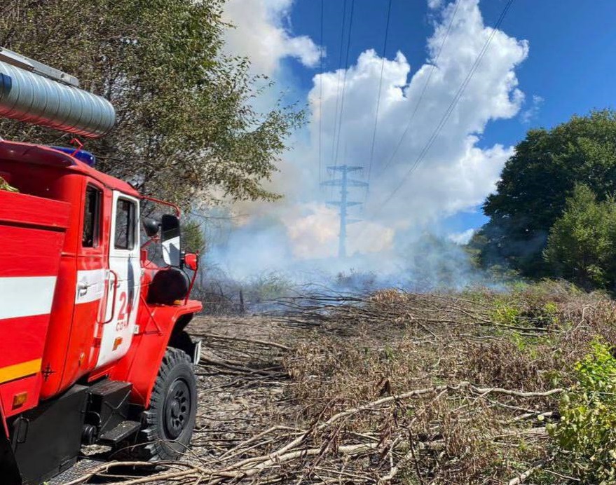 В Сочи вспыхнули кустарники (Видео)