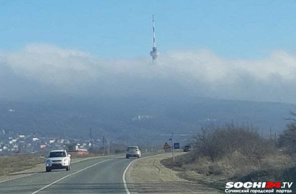 Убежали от депрессии: сибирячка рассказала о переезде в Туапсе