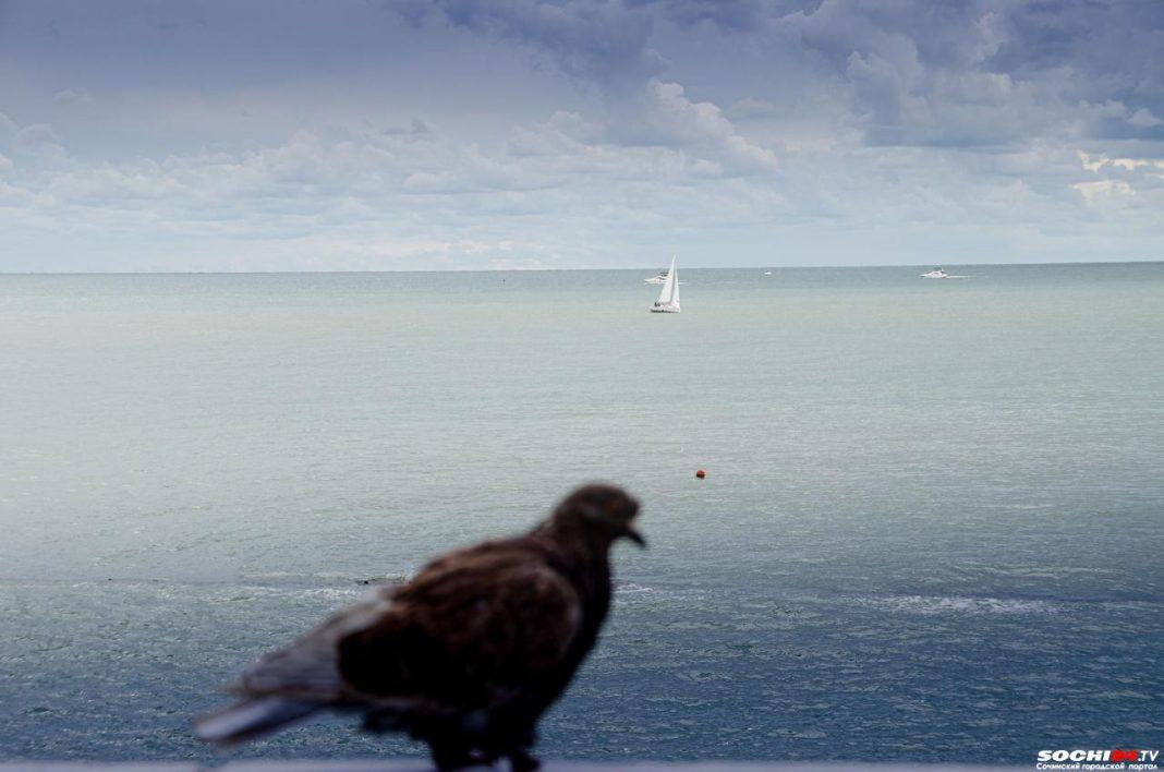 Хуже, чем в задрипанных вьетнамских деревнях: путешественница рассказала про отдых на юге