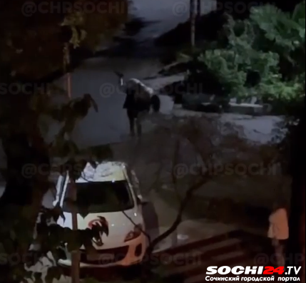 Бил как грушу: крики избитой женщины разбудили Сочи