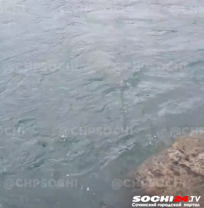 В русле реки в центре Сочи обнаружили труп мужчины