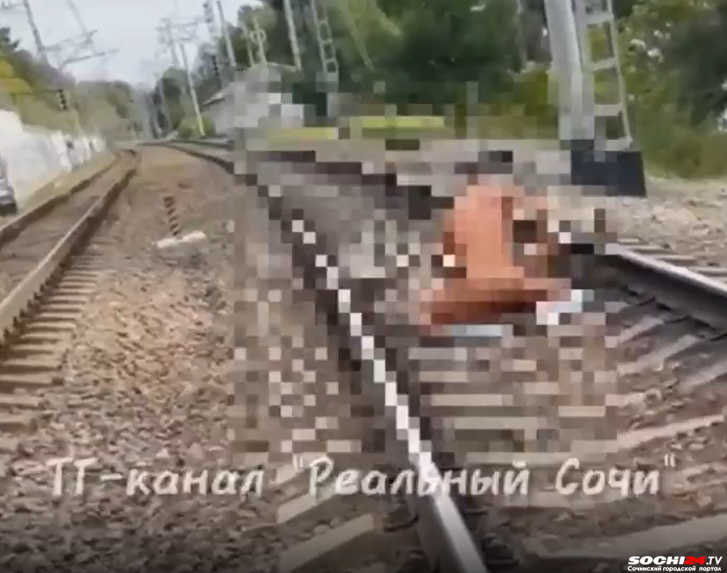 Парочку, совокуплявшуюся на шпалах в Сочи, сняли на видео