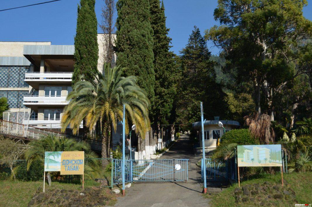 10 обломов в Абхазии: россиянка рассказала, о чем следует подумать заранее