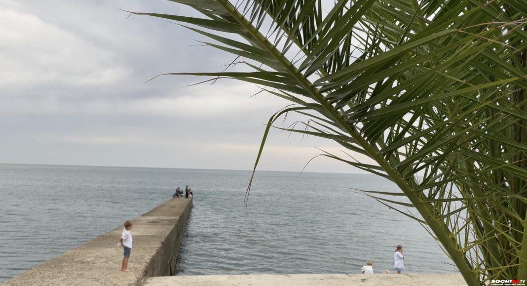 Ливни, грозы, град: жителей Сочи предупредили о грядущей непогоде