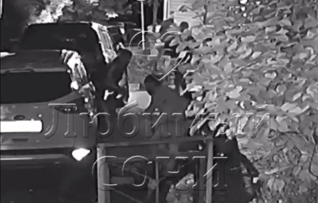 В Сочи произошла массовая драка (Видео)