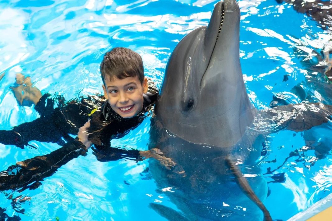 В Сочи особенные дети поплавали с уникальными лекарями — дельфинами