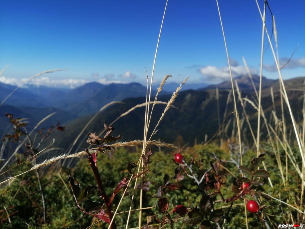 Лучше гор могут быть горы, на которых еще не бывал! (Фото)