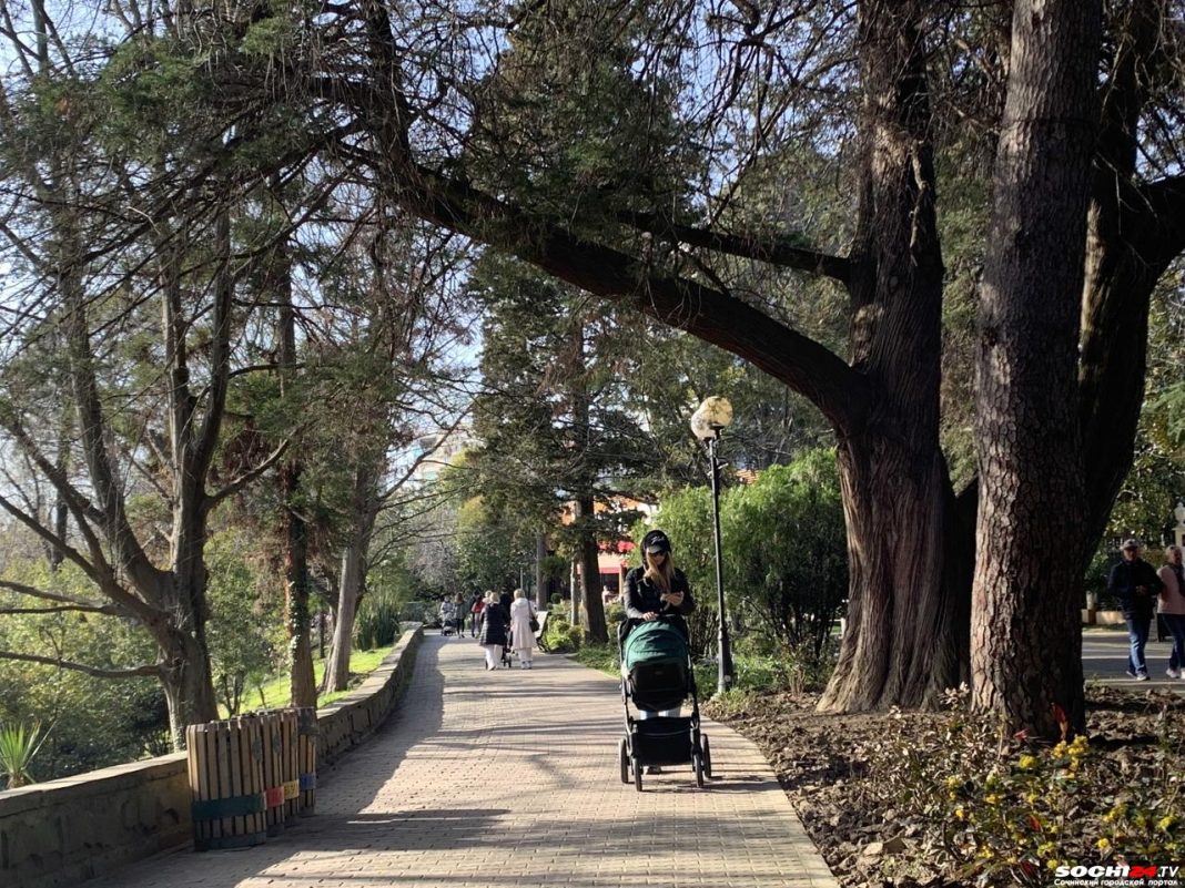 В России расширили возможности использования маткапитала