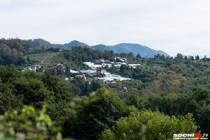 В селе Детляжка в Сочи построят школы и детский сад