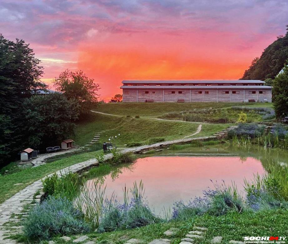 В Сочи продолжают изымать участки: дошло до фермы «Экзархо»