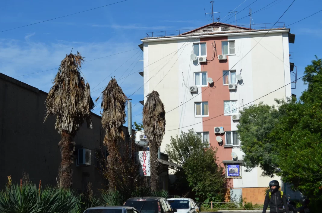 В Сочи вырубили 2300 пальм, чтобы спасти оставшиеся 6500