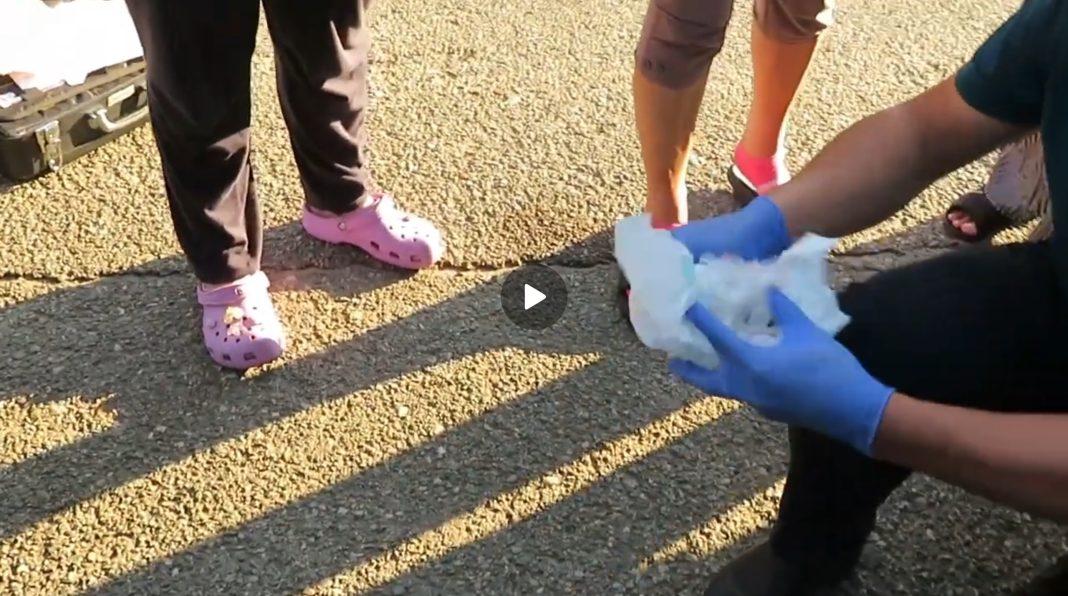 Закладчица в подгузниках ребенка перевозила мефедрон в Сочи