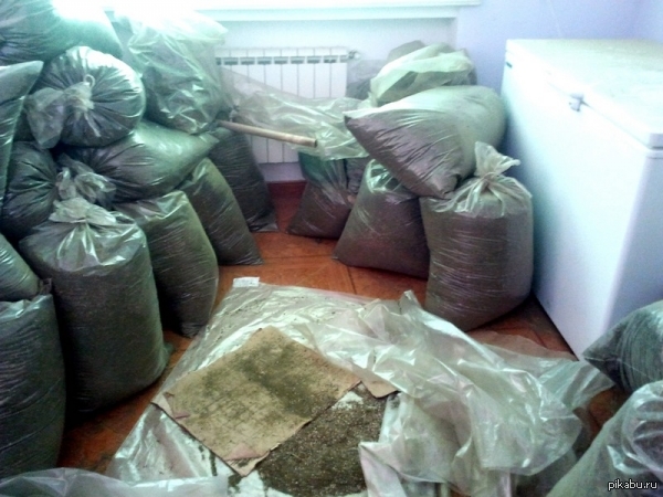 В Сочи задержали приезжего, который планировал в одиночку употребить 70 грамм марихуаны