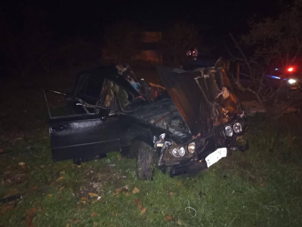 В Сочи водитель легковушки погиб сбив лошадь и протаранив бетонный забор