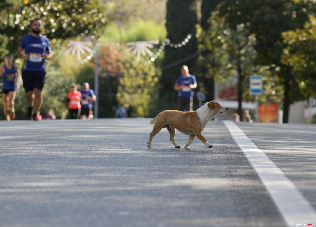 Сочи официально стал вторым городом России по качеству жизни