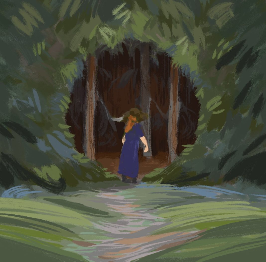 В Сочи проходит выставка Анастасии Врублевской «СОН О ЛЕСЕ»