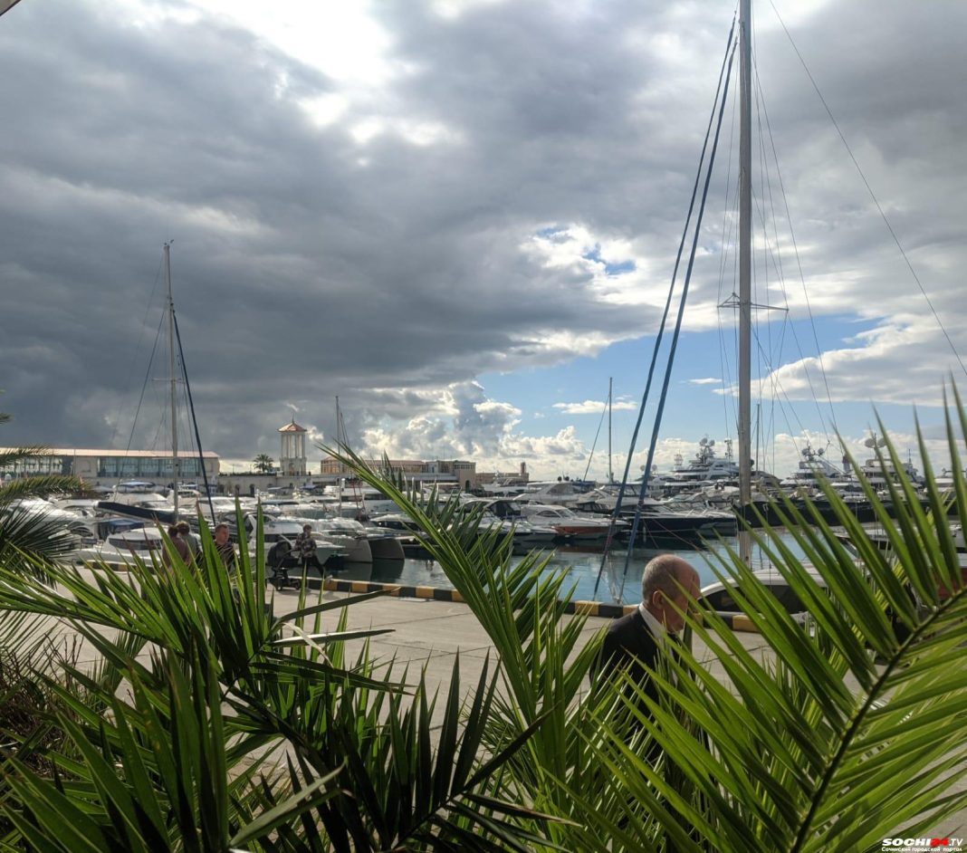 Стало известно, насколько выросла популярность Сочи для деловых поездок