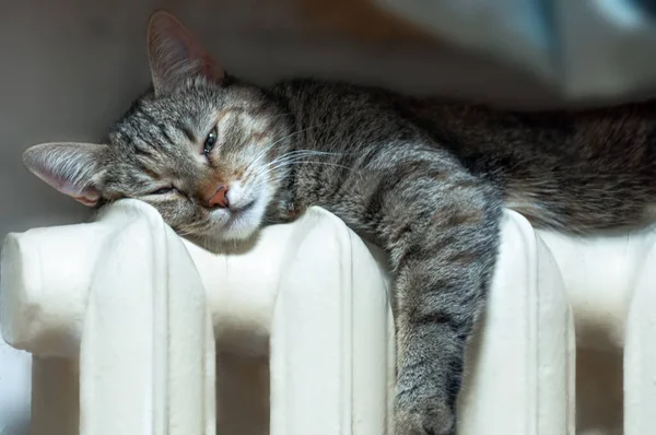 В Сочи отопительный сезон начнётся на неделю раньше