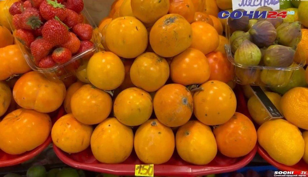 Сезон сбора хурмы стартовал в Сочи (Видео)