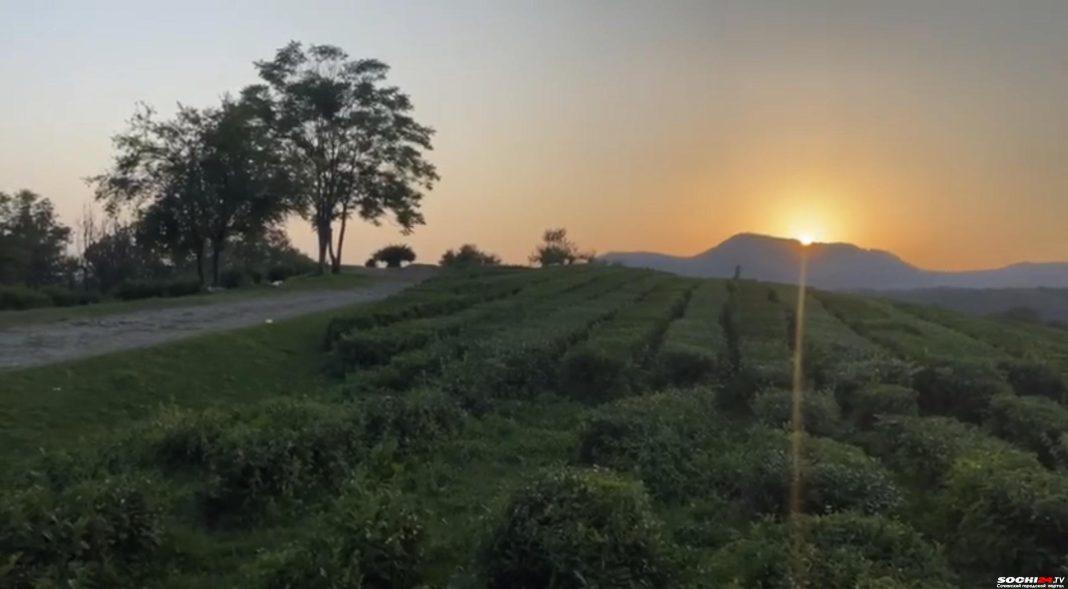 Бизнесмены из Сочи не согласны с изъятием своих земель