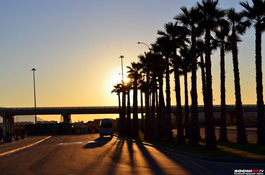 В Сочи начнут обучать одной из наиболее актуальных ныне профессий