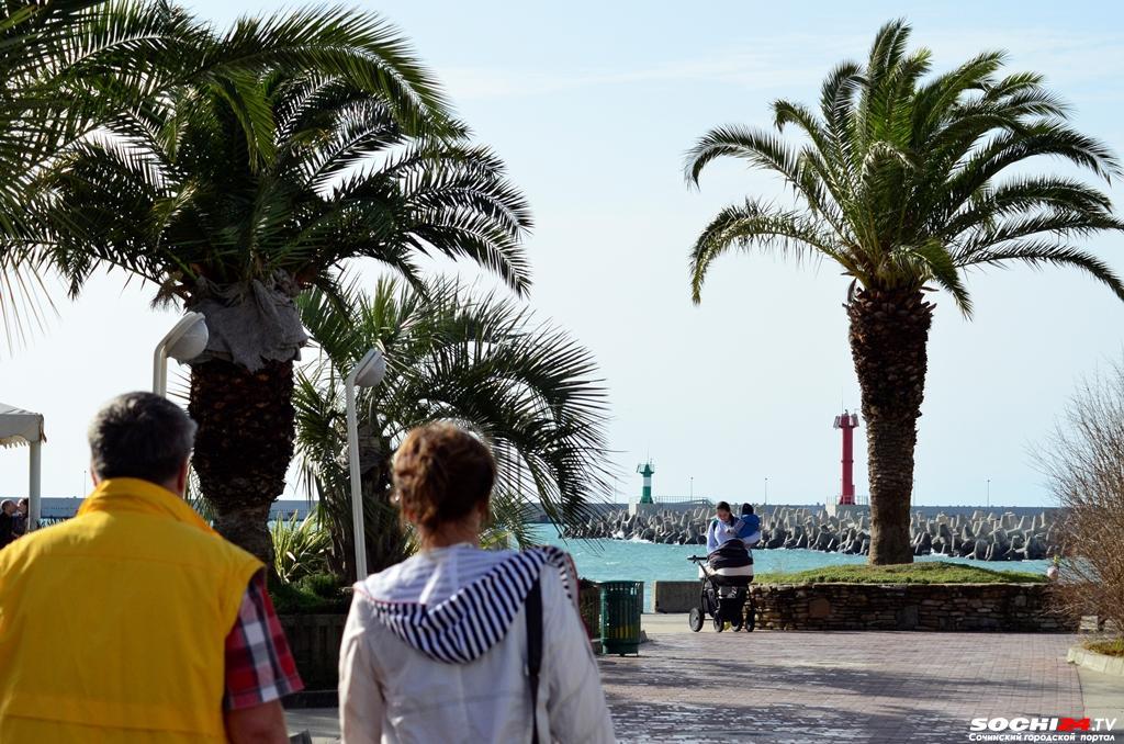 Стало известно, сколько сочинцев хотят остаться жить в России