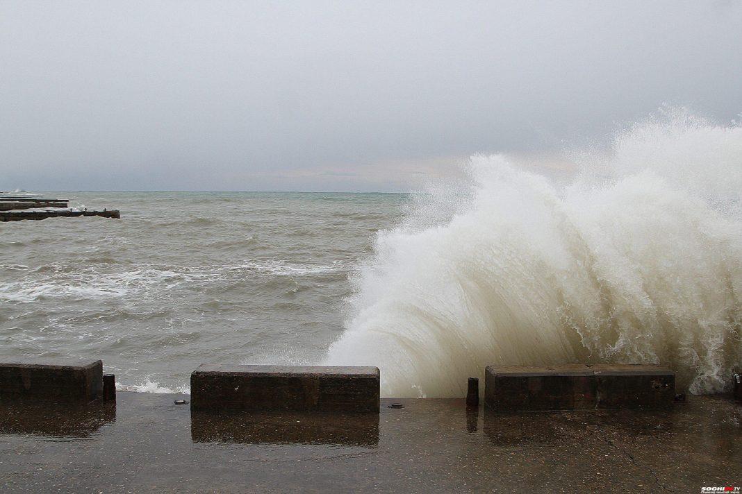 В районе морского порта Сочи разлилась нефть