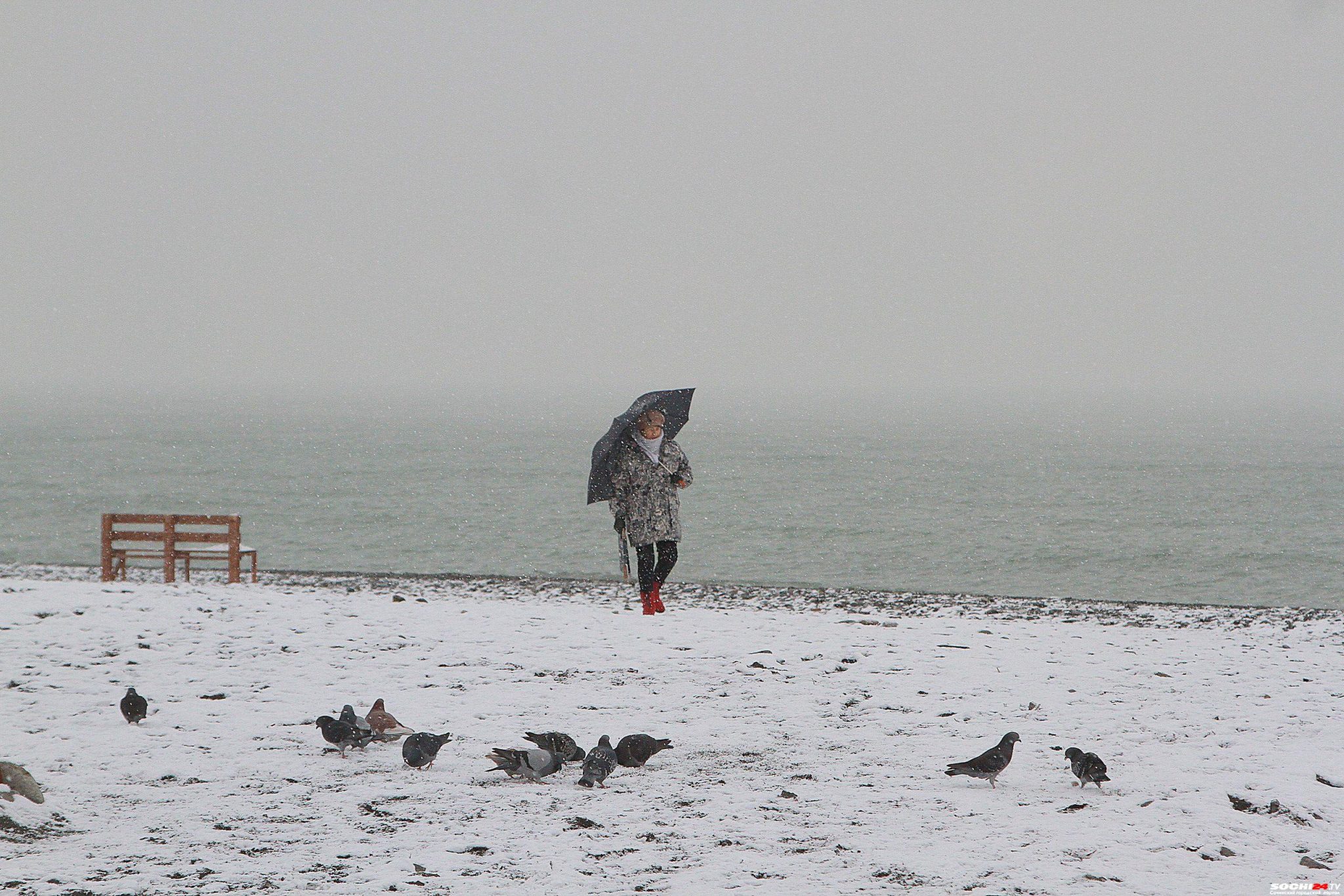 адлер в снегу 2022г. сочи зима 2022. дождь на курорте. сочи снег с дождём. климат в сочи в январе.