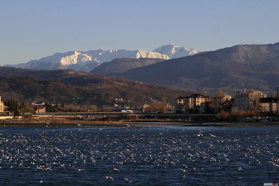 Госдума РФ отложила проект о расширении Сириуса за счет Сочи