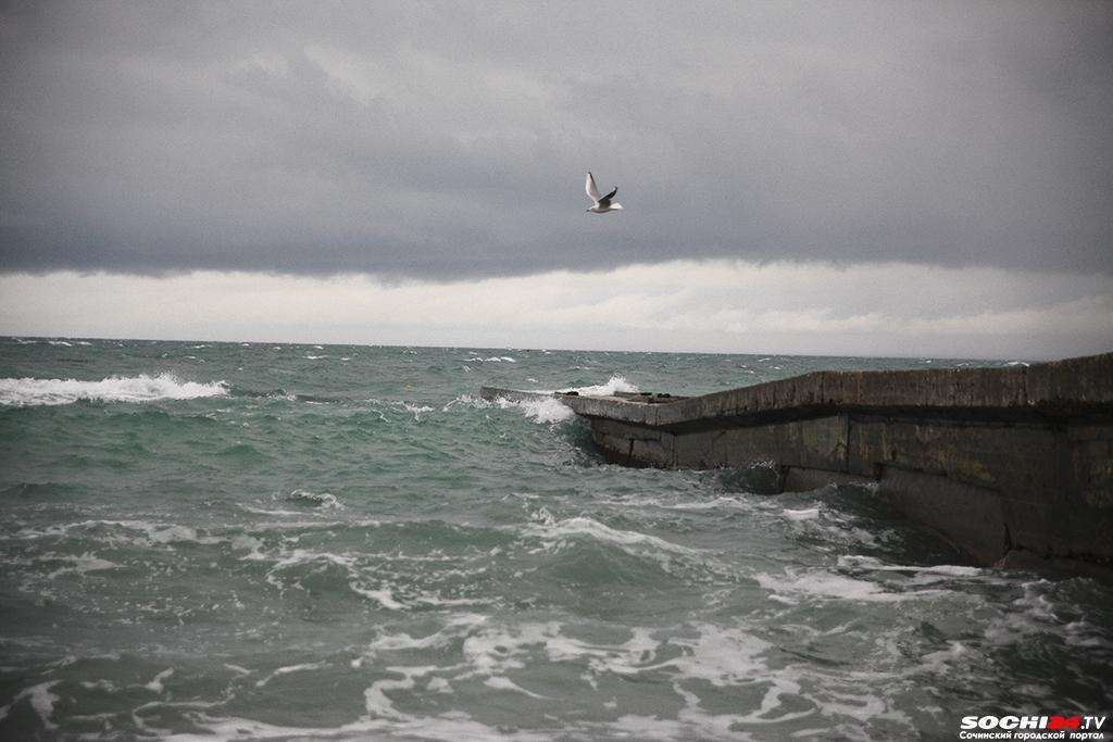 На что в Сочи потратят почти миллиард рублей?