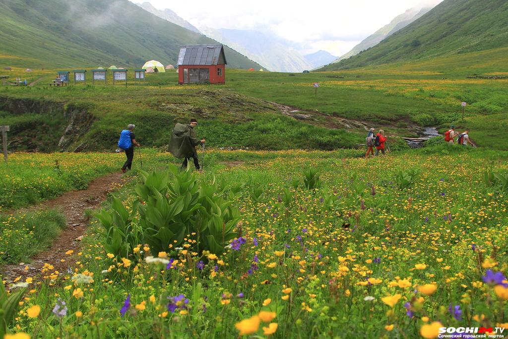 Россияне повально бегут в Сочи. Из каких городов?