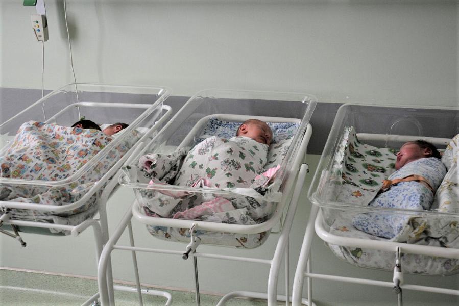 Тройняшки родились благодаря процедуре ЭКО в Краснодарском крае