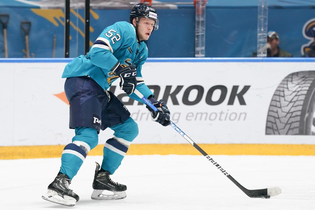 Защитника ХК «Сочи» пытались раздеть на матче в Омске (Видео)