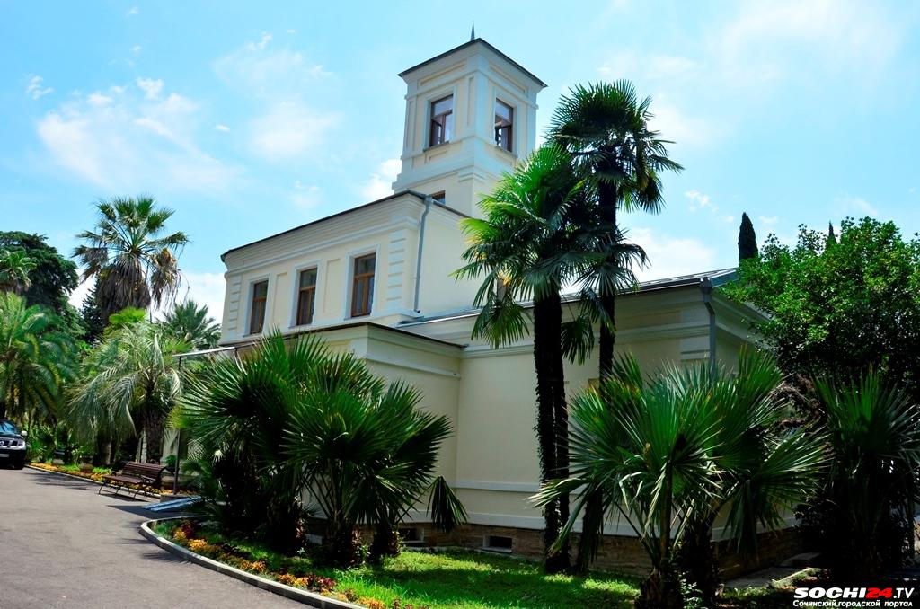 Где вы видели такую зиму? Синоптики дали прогноз на неделю в Сочи