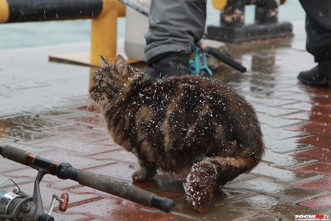 Мороз и солнце: в Сочи приходят нежданные холода