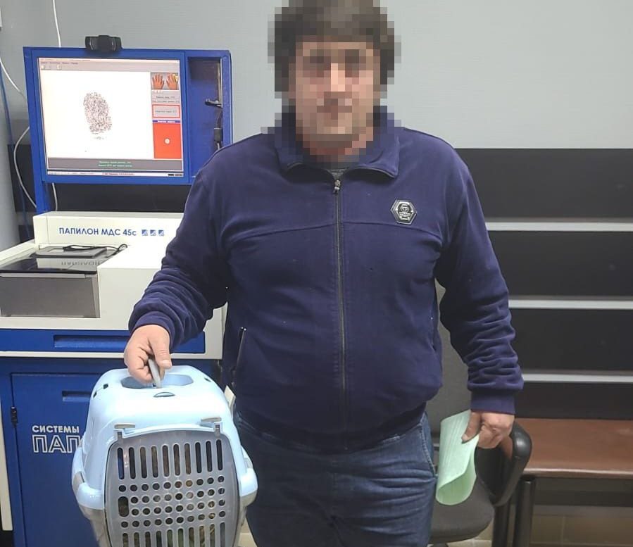 В Сочи мужчина арестован за насилие над совой