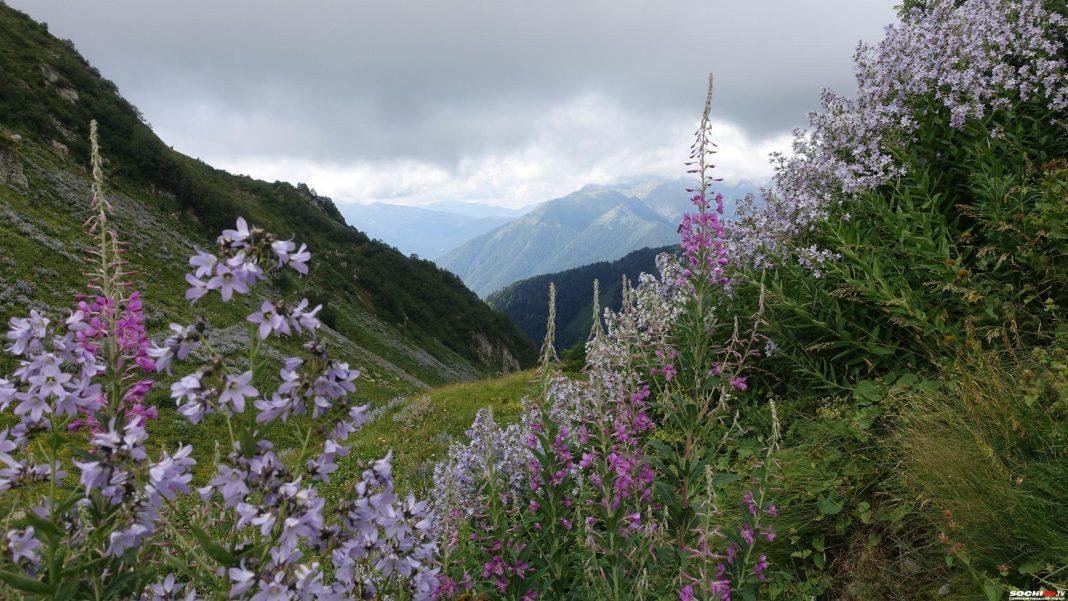 Сочинский нацпарк стал лидером страны по посещаемости