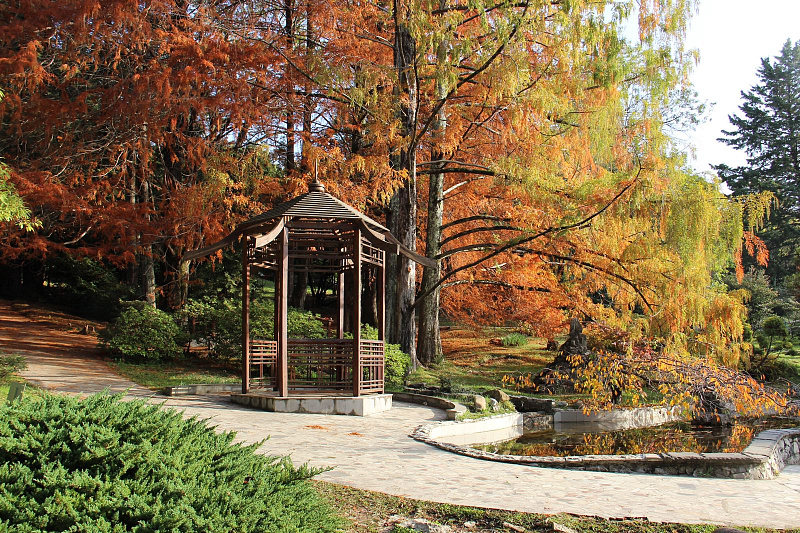 Мэр проверил, готов ли Сочи к зимнему сезону