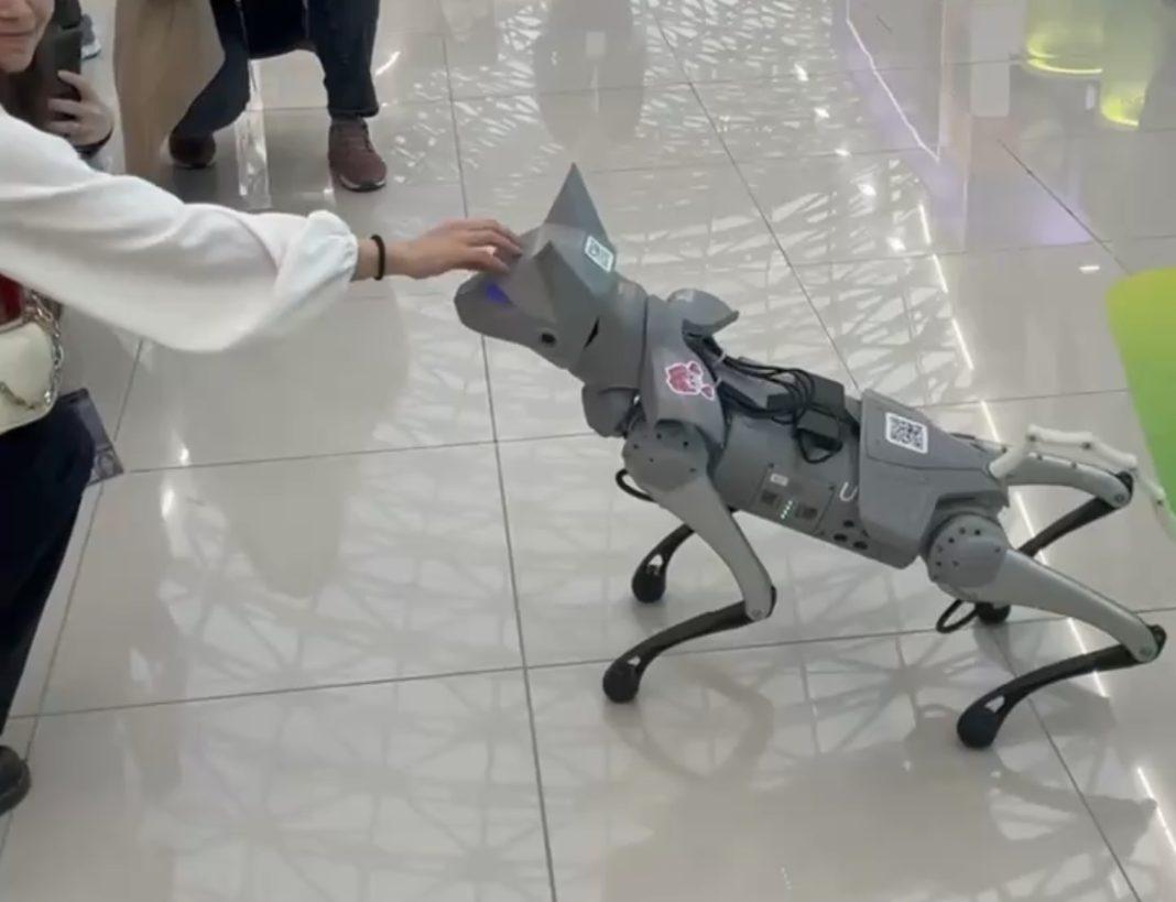 На научной выставке в Сириусе всех покорил робокот