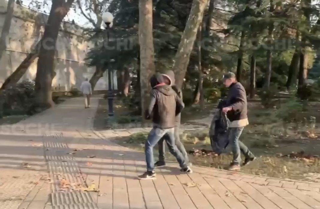 В Сочи завелись «озеленители», которые воруют растения из клумб и продают