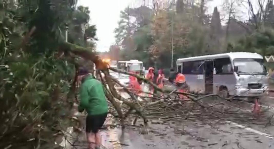 В Сочи штормовое предупреждение: что делать жителям?