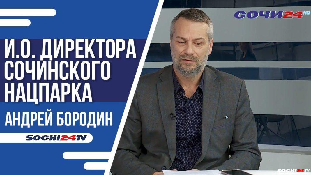 ПОДРОБНО: в Год экологии в Сочи зафиксирован повышенный спрос на экотуризм