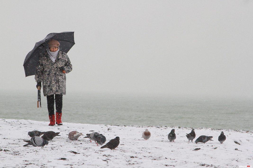 Пойдет ли в Сочи снег? Синоптики прогнозируют резкое похолодание на Юге России